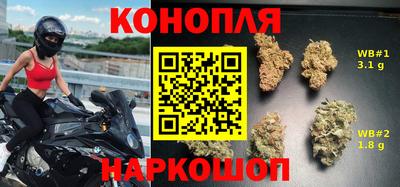 индика Тара