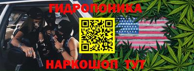 индика Тара