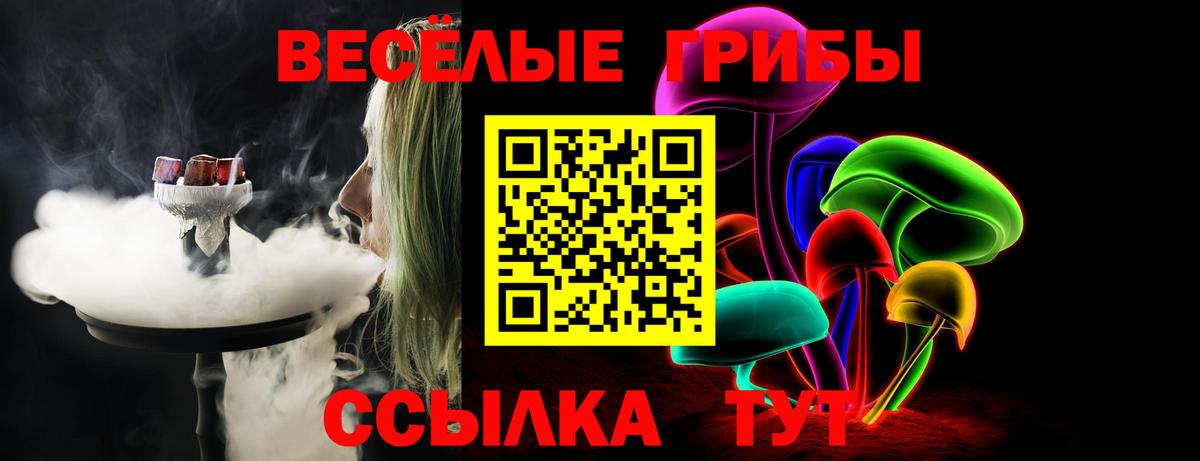 Галлюциногенные грибы MAGIC MUSHROOMS Котельники